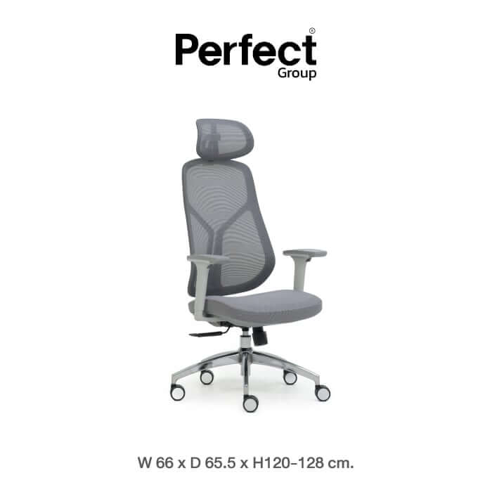 เก้าอี้ทำงานเพื่อสุขภาพ Perfect SWAN SERIES รุ่น 503AG สีเทา